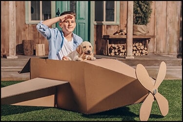 how much does it cost to ship a puppy by plane